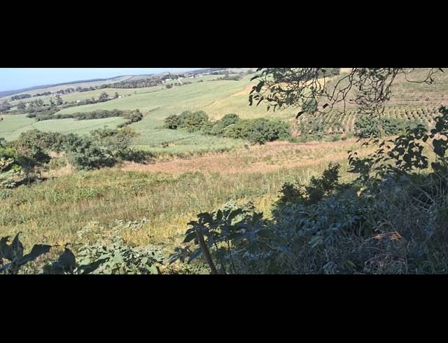 FARM FOR SALE IN HIGH RIDGE